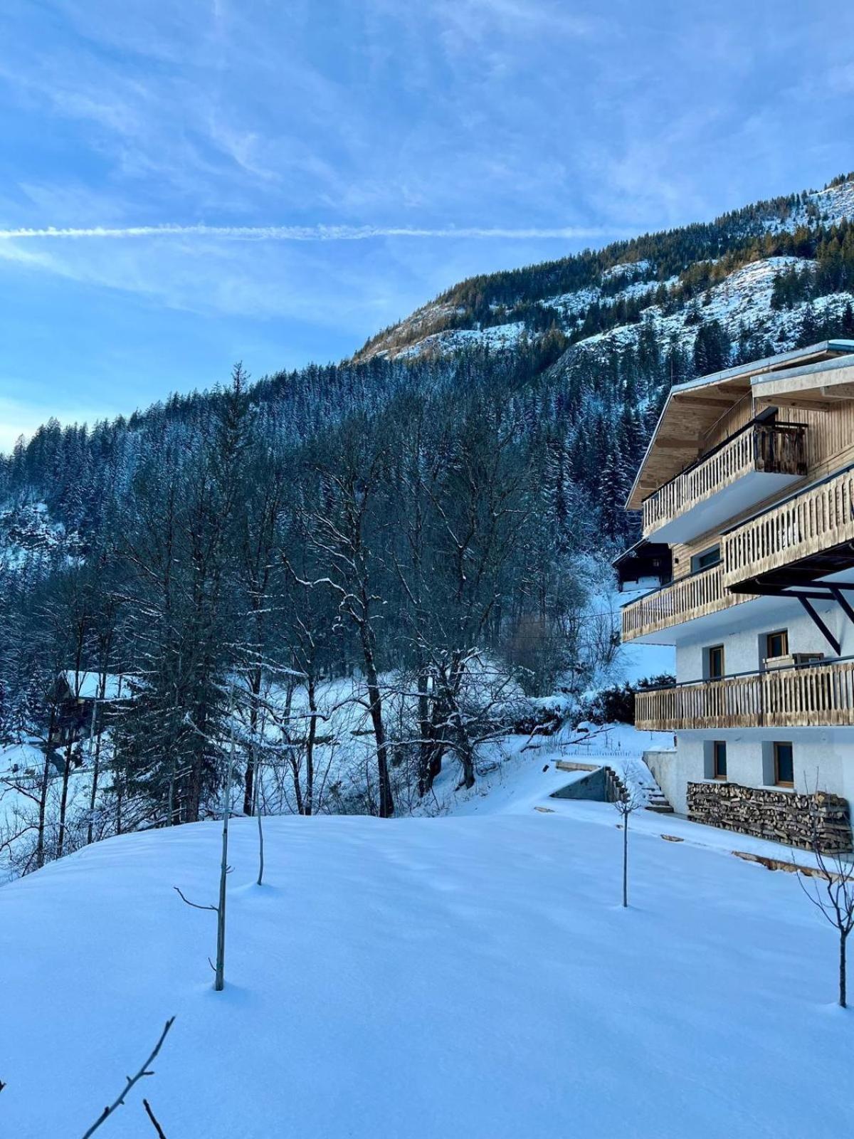 Chalet Flachaire アボンダンス エクステリア 写真